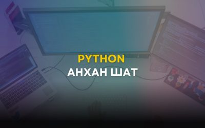 Python: Анхан шат